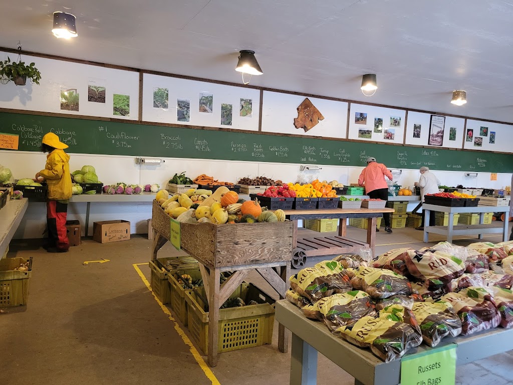 Siefferts Farm Market | 720 Knight Rd, Comox, BC V9M 3T3, Canada | Phone: (250) 339-2988