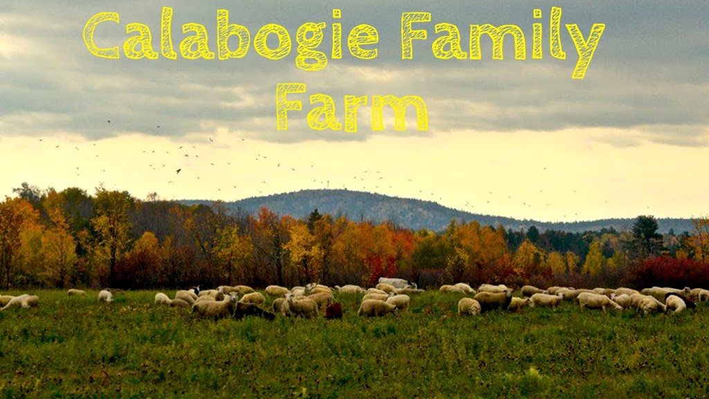 Calabogie Family Farm | 93 Windle Rd, Greater Madawaska, ON K7V 3Z9, Canada | Phone: (343) 998-8654