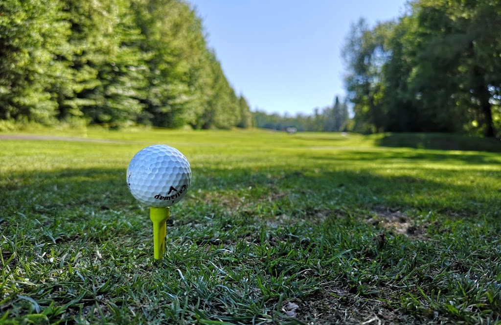 Club De Golf Chantecler Ste-Adèle Ltée | 2520 Chem. du Club, Sainte-Adèle, QC J8B 3C3, Canada | Phone: (450) 476-1339