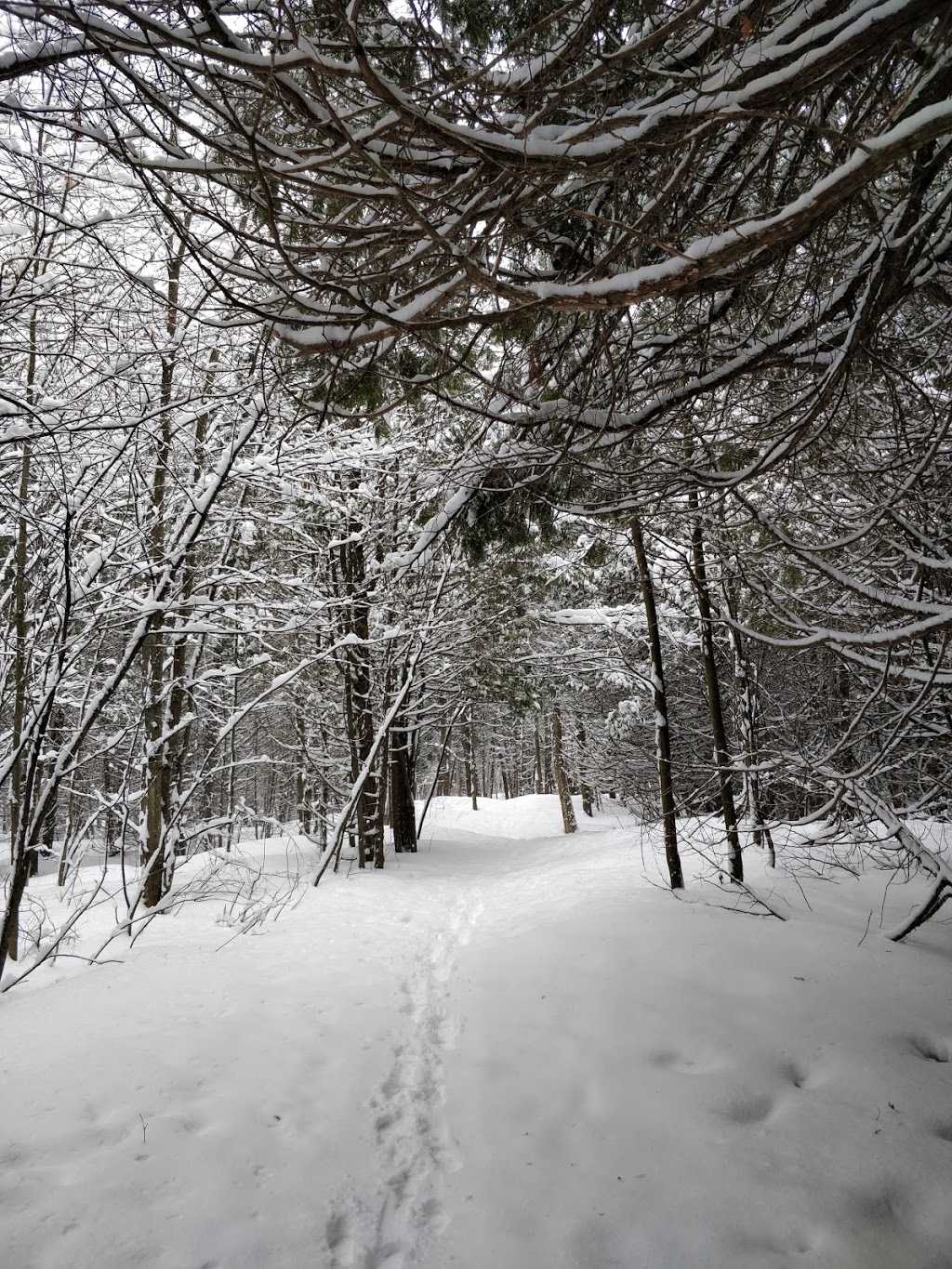 Dewberry Trail | Dolman Ridge Rd, Orléans, ON K1C 7G4, Canada