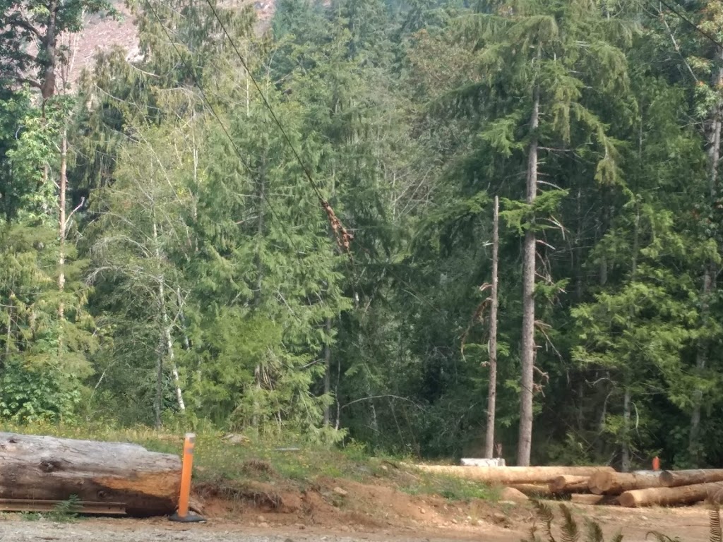 J.J. Logging | 5633 Smith Rd, Port Alberni, BC V9Y 8M1, Canada | Phone: (250) 723-1376