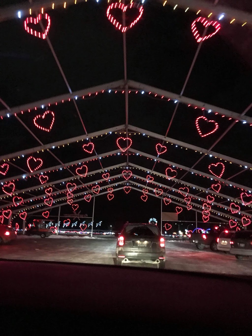 Winter Wonderland | Assiniboia Downs, Winnipeg, MB R4H 1C6, Canada