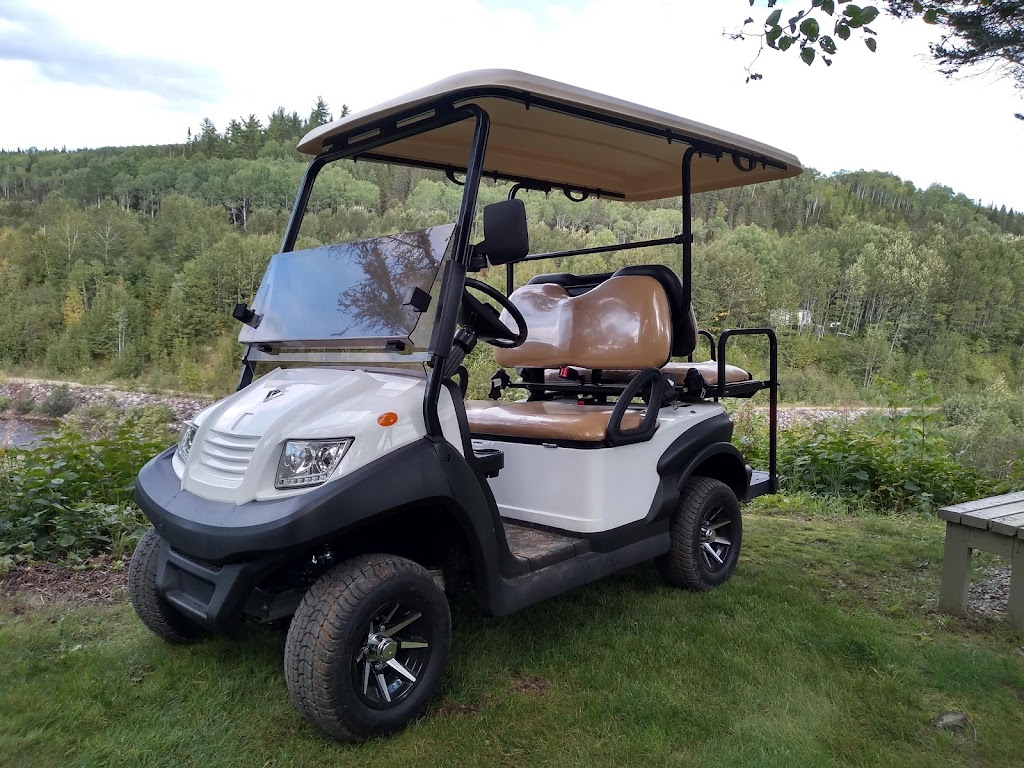 voiturette de golf saguenay | 360 QC-381, Ferland-et-Boilleau, QC G0V 1H0, Canada | Phone: (418) 944-1972