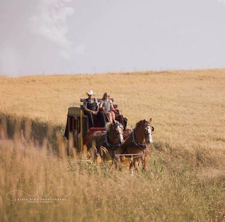 Evergreen Hill Farm- Horse Drawn Services | 687 St Johns Rd E, Port Dover, ON N0A 1N2, Canada | Phone: (519) 426-2155