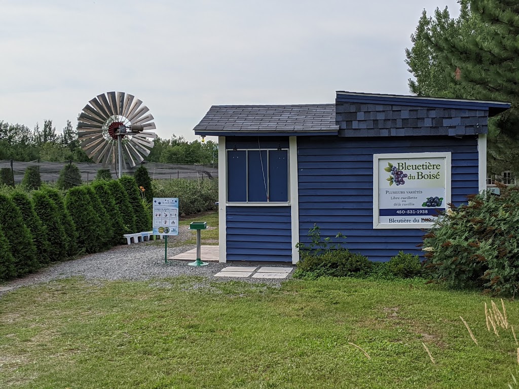 Bleuetière du Boisé | 1026 Impasse de la Bleuetière, Granby, QC J2J 0C4, Canada | Phone: (450) 531-1938