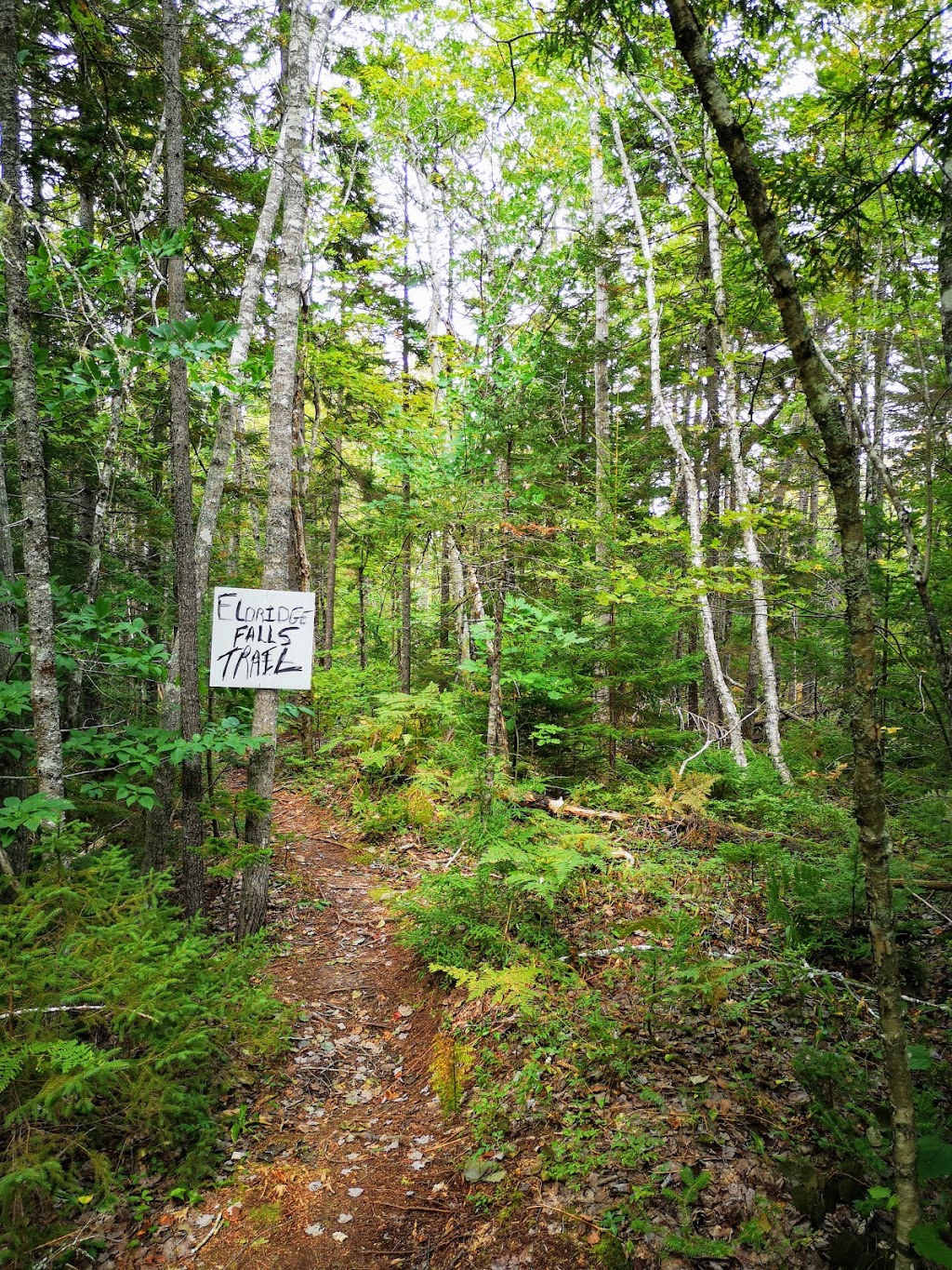 Eldridge Falls | West Hants, NS B0P 1V0, Canada