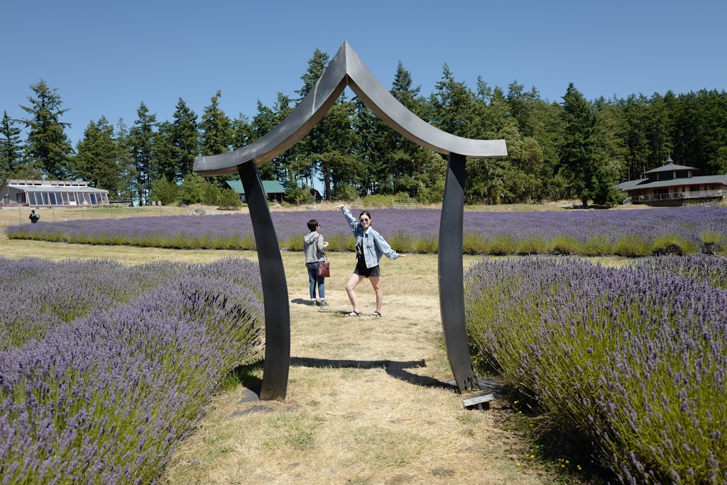 Overlook Park | 130 West St, Friday Harbor, WA 98250, USA