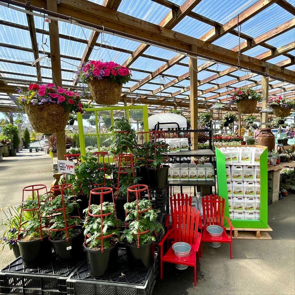 Harris Nurseryland | 6508 Ladner Trunk Rd, Delta, BC V4K 3N3, Canada | Phone: (604) 946-5986