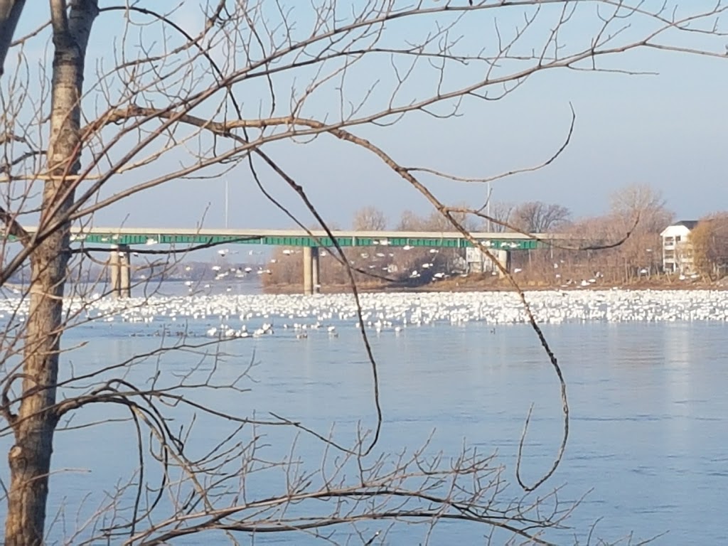 Parc des Soeurs-de-lImmaculée-Conception | Rue Champlain, Saint-Jean-sur-Richelieu, QC J3B 0C6, Canada