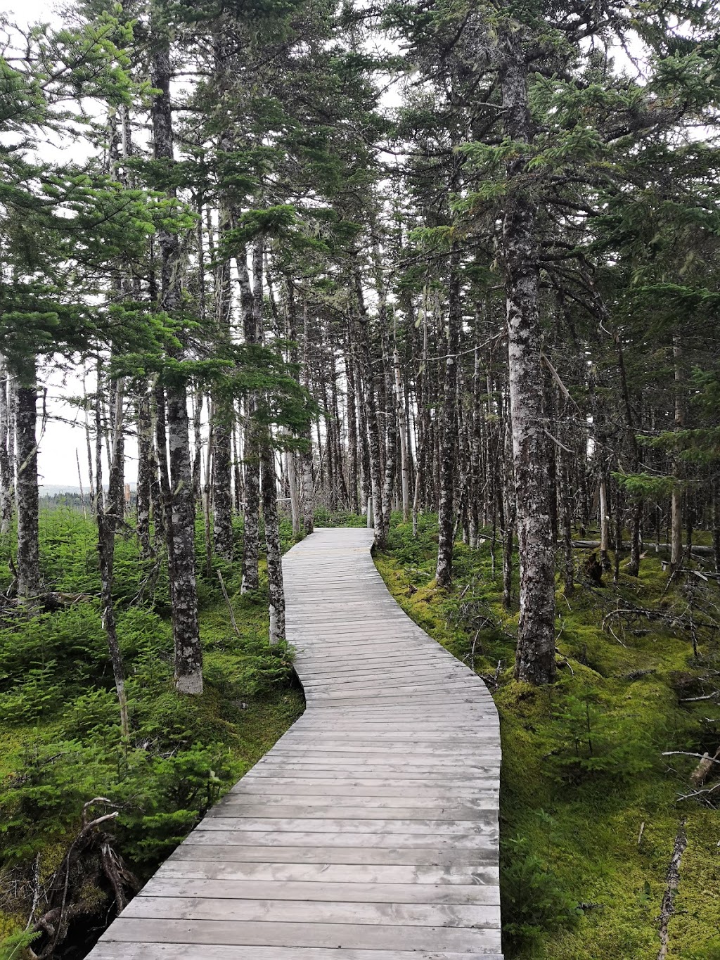 Salmonier Nature Park | Salmonier Line, Holyrood, NL A0A 2R0, Canada | Phone: (709) 229-7888