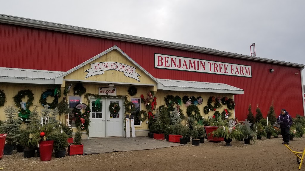 Benjamin Tree Farm | 770 Benjamin Rd, Waterloo, ON N2J 3Z4, Canada | Phone: (519) 699-5000