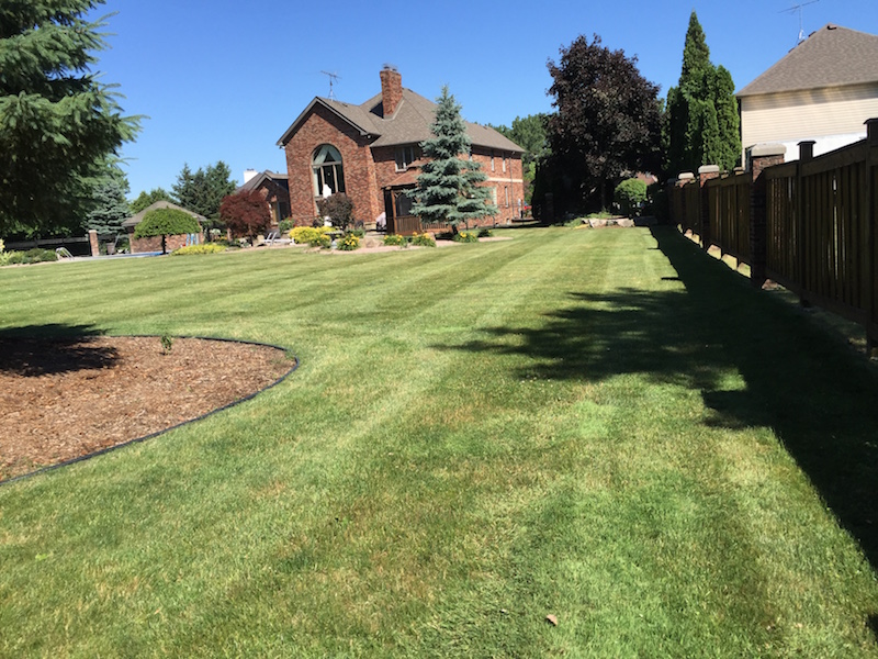 CGM Lawn Care & Landscaping | 9240 Disputed Rd, Windsor, ON N9A 6Z6, Canada | Phone: (519) 990-7934