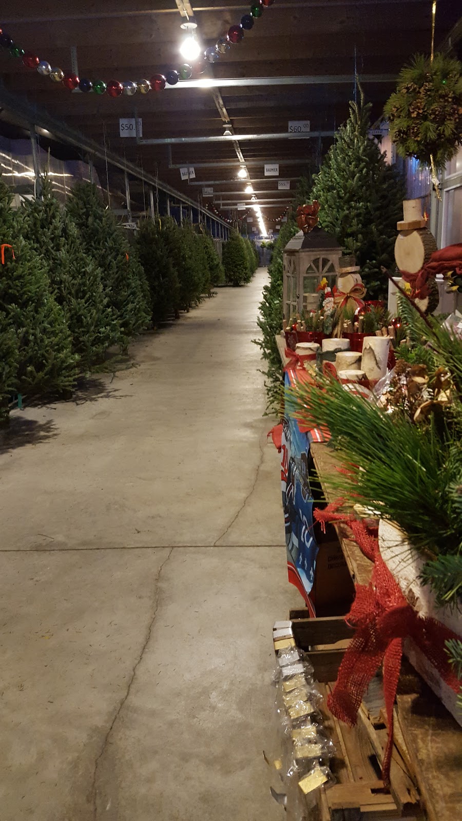 Garden Center Varennes | 1721 QC-132, Varennes, QC J3X 1P7, Canada | Phone: (450) 652-7007