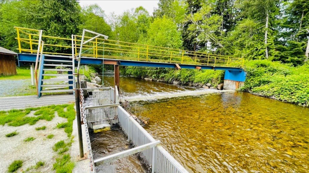 Tlaamin Salmon Hatchery | 5073 BC-101, Powell River, BC V8A 0B6, Canada | Phone: (604) 483-4111