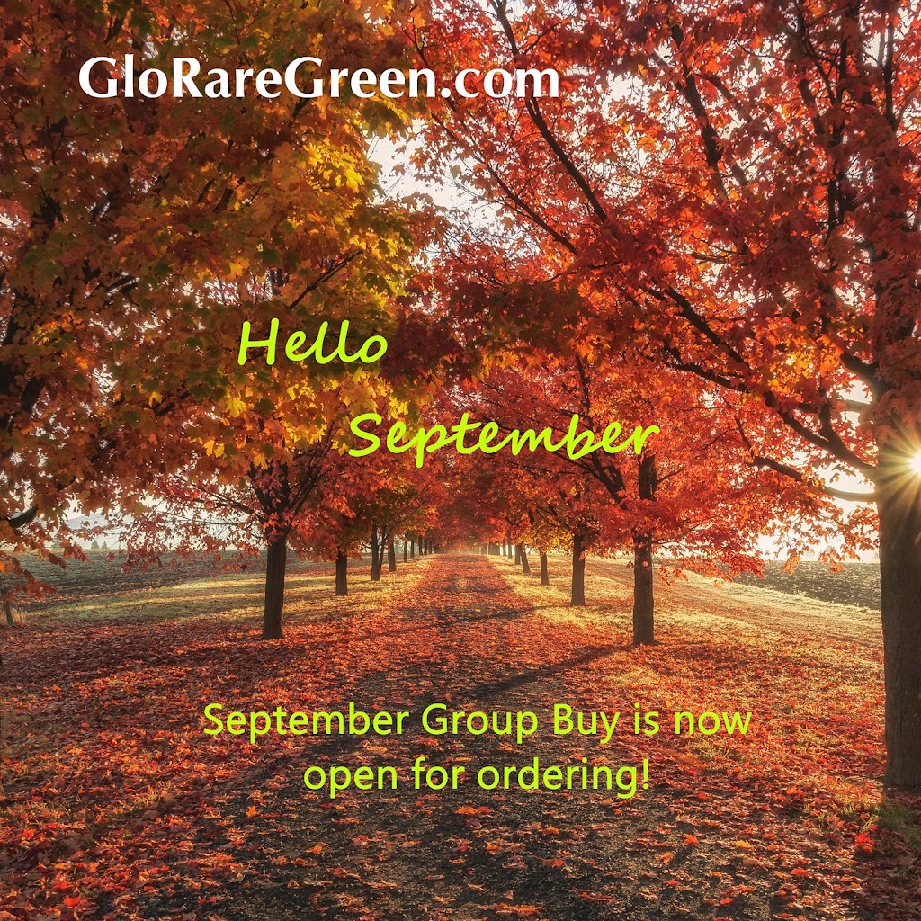 GloRareGreen | 3085 Davis Dr, Newmarket, ON L4A 2P8, Canada | Phone: (416) 569-8879