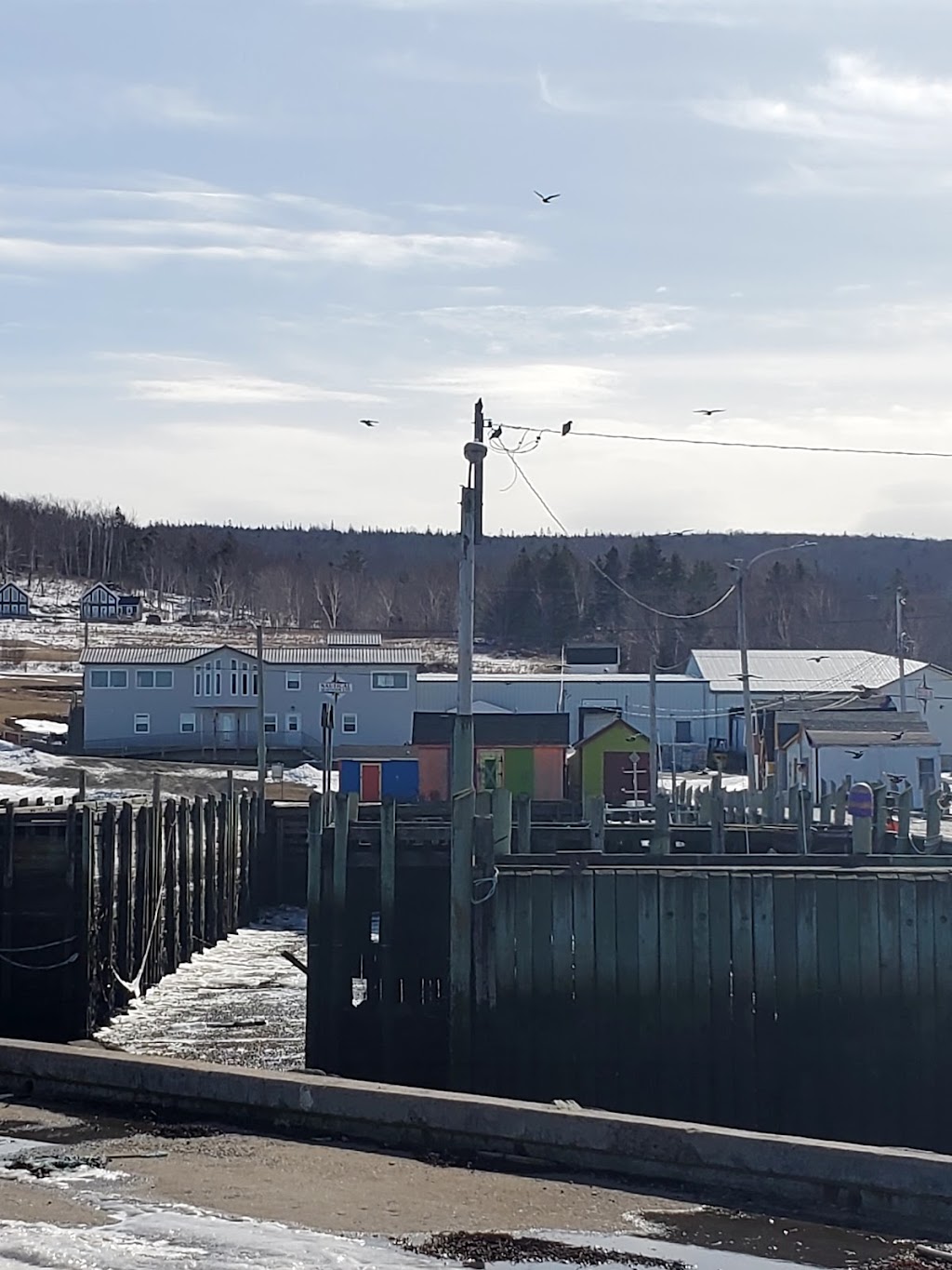 Anderson Cove Seafoods Ltd | 151 Hillsburn Rd, Granville Ferry, NS B0S 1K0, Canada | Phone: (902) 532-0774