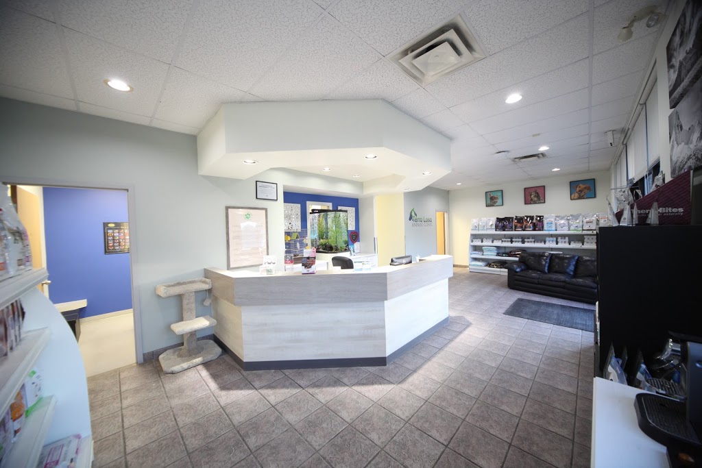 Terra Losa Animal Clinic | 17248 95 Ave NW, Edmonton, AB T5T 6P1, Canada | Phone: (780) 484-1178