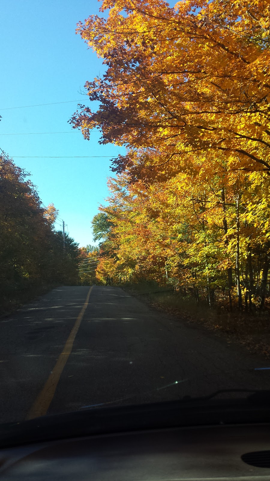 Erabliere LMH Au Petit Bnhr | Chemin de la Sucrerie, Val-des-Lacs, QC J0T 2P0, Canada | Phone: (819) 326-7906