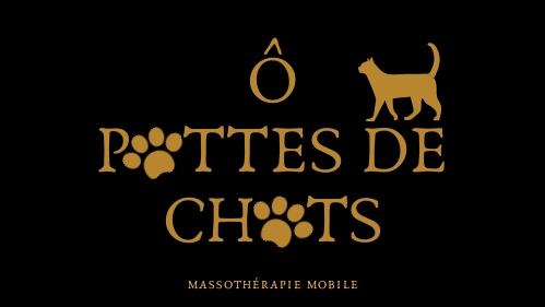 Massothérapie Ô Pattes de Chats | 240 Rue Cyr App 202, Granby, QC J2G 8R9, Canada | Phone: (579) 995-2428