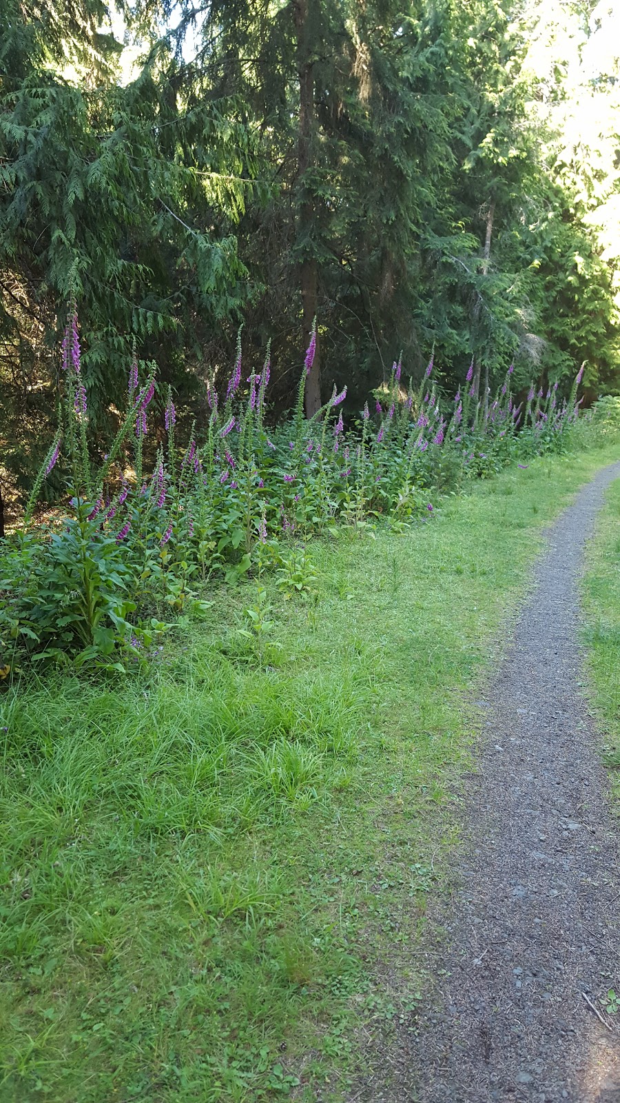 Turtleback Mountain Preserve | Eastsound, WA 98245, USA