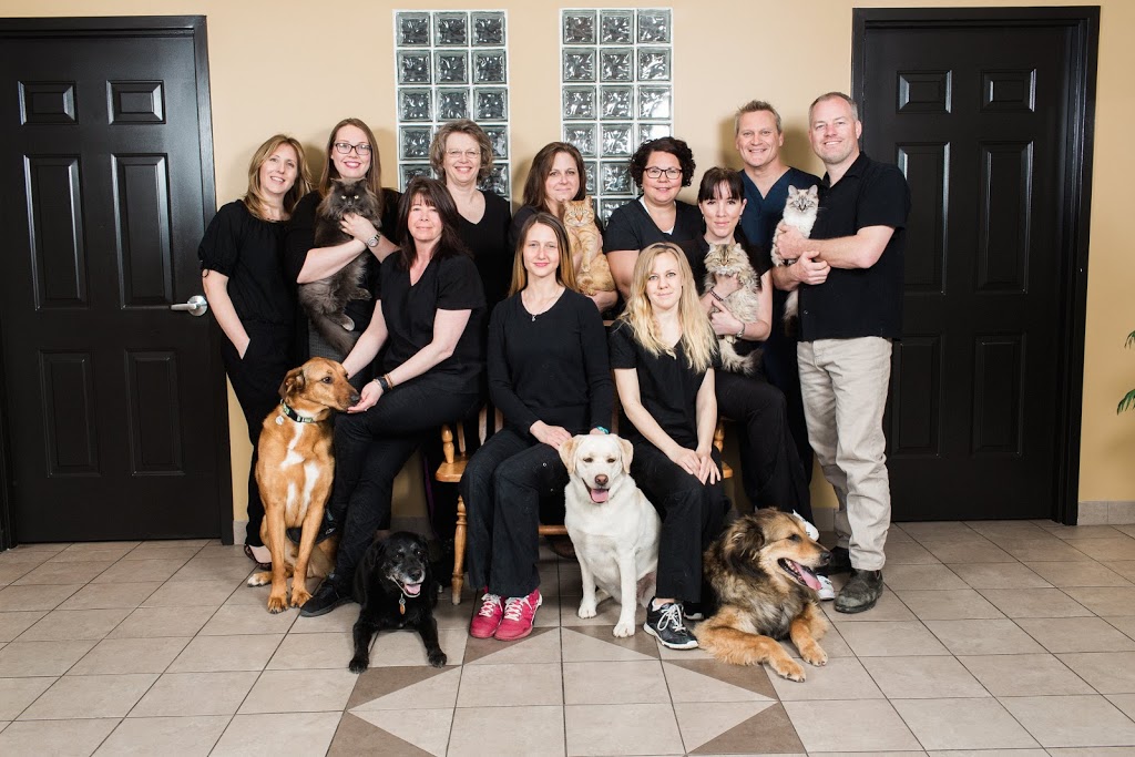 Bayridge Animal Hospital | 732 Milford Dr, Kingston, ON K7P 1C6, Canada | Phone: (613) 634-2001