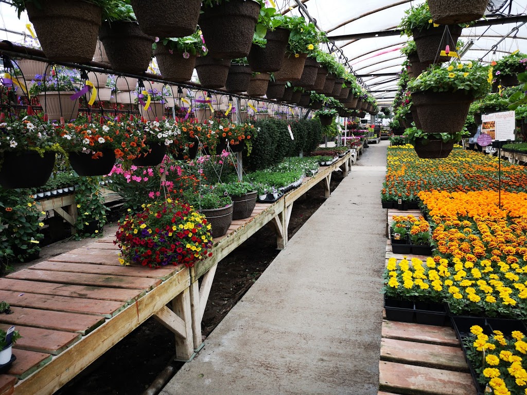 Kingsway Greenhouse | 111 Clarence Biesenthal Dr #1, Oshawa, ON L1K 2H5, Canada | Phone: (905) 434-3851