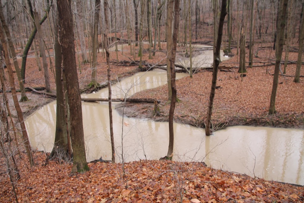 Clear Creek Old Growth Forest | Duart Rd, Chatham-Kent, ON N0L 1X0, Canada