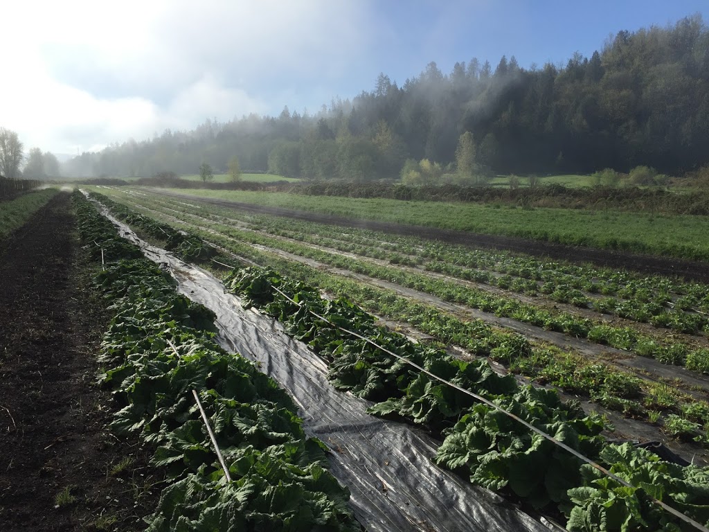 Close To Home Organics | 8550 Bradner Rd, Abbotsford, BC V4X 2H5, Canada | Phone: (604) 897-1111