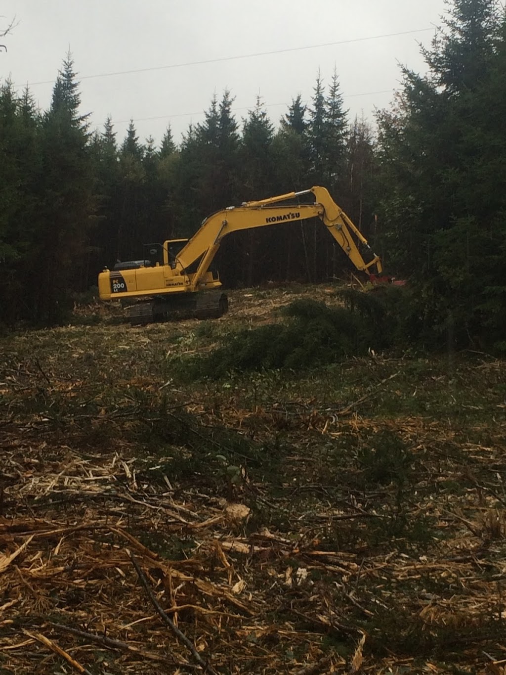 C D Blue Forestry Limited | 1785 NS-105, Queensville, NS B9A 1R9, Canada | Phone: (902) 625-0444