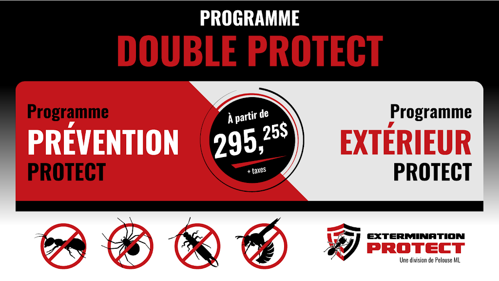 Extermination Protect | 3274 Rue des Églantiers, Québec, QC G1G 1Y6, Canada | Phone: (418) 628-8307