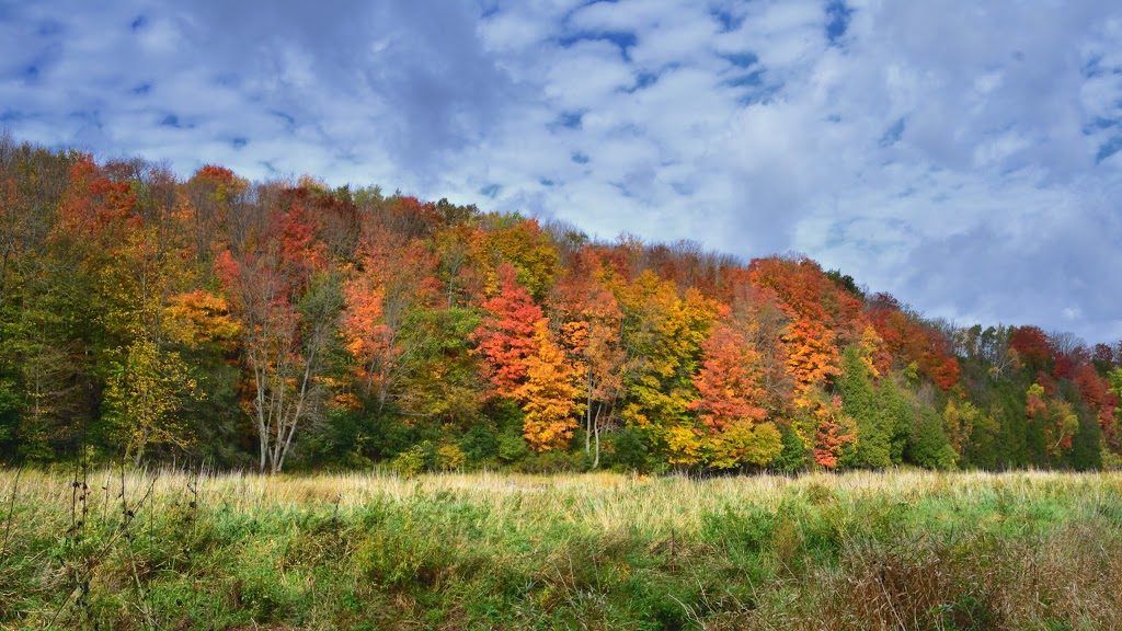 Wawanosh Valley Conservation Education Centre | 38854 Nature Centre, Blyth, ON N0M 1H0, Canada | Phone: (519) 523-4788