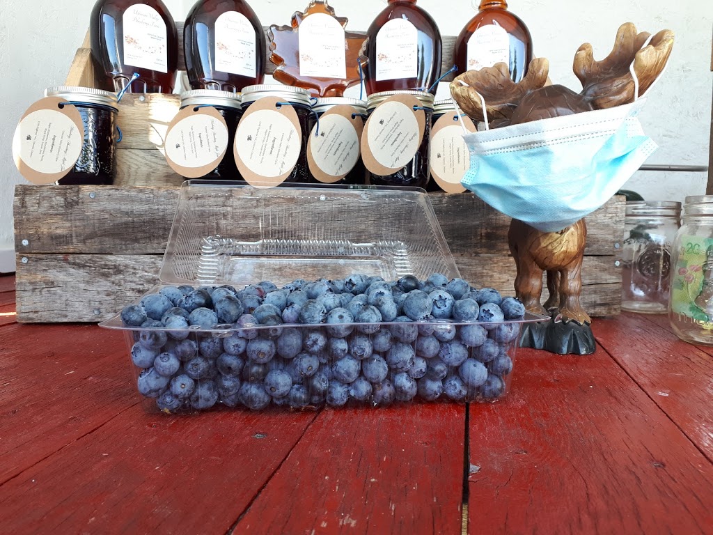 Utterson Valley Blueberry Farm | 1318 ON-141, Utterson, ON P0B 1M0, Canada | Phone: (705) 644-0301