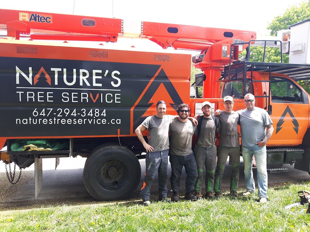 Natures Tree Service | 7 Godden St, Collingwood, ON L9Y 4S4, Canada | Phone: (705) 888-0381