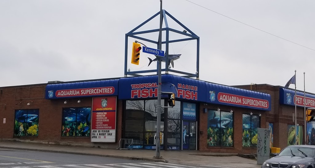 Big Als Aquarium & Pet Supercentres - Scarborough | 1295 Kennedy Rd, Scarborough, ON M1P 2L4, Canada | Phone: (416) 757-3281