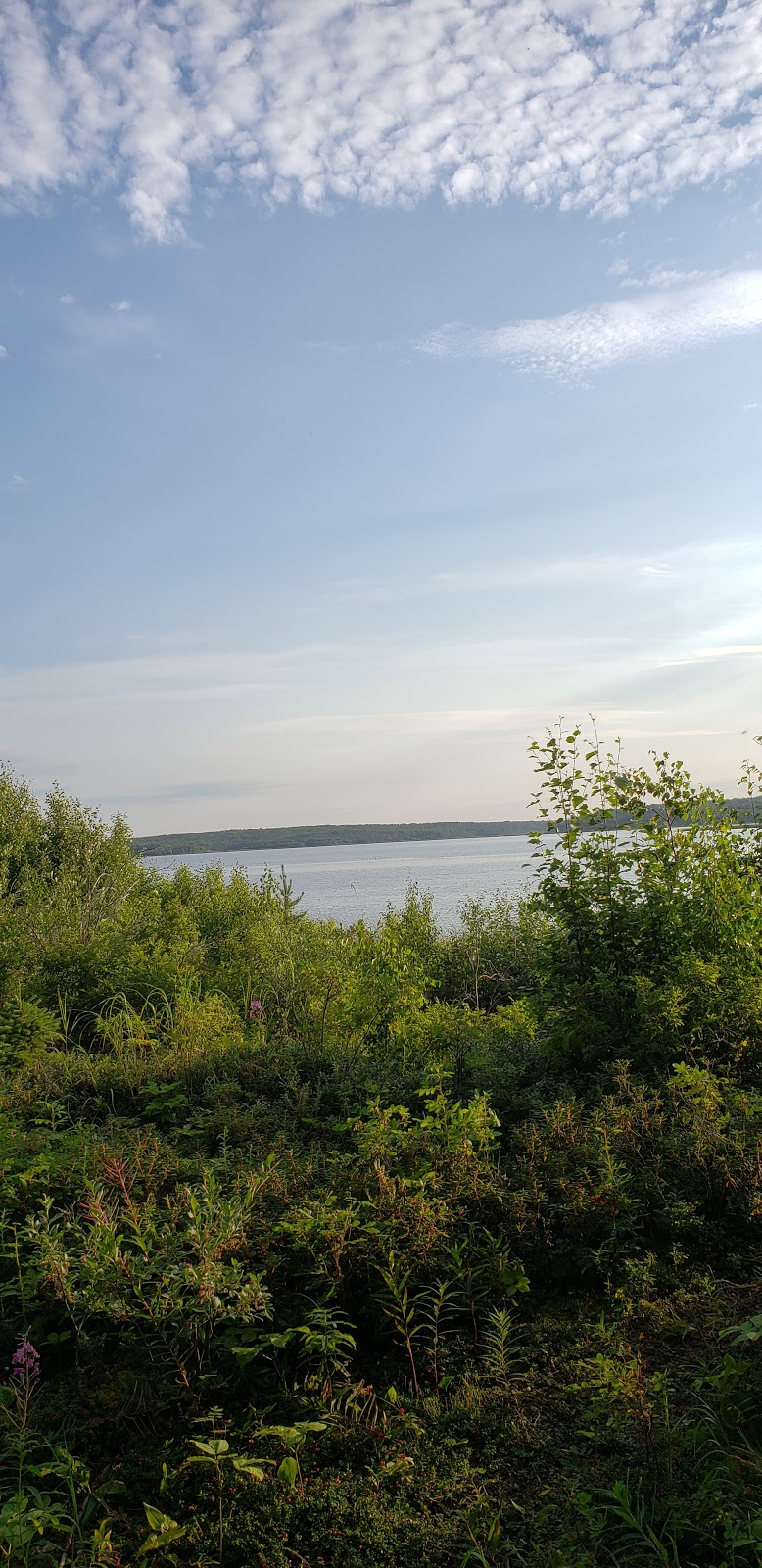 North Buck Lake Provincial Recreation Area | Caslan, AB T0A 0R0, Canada | Phone: (780) 689-4602