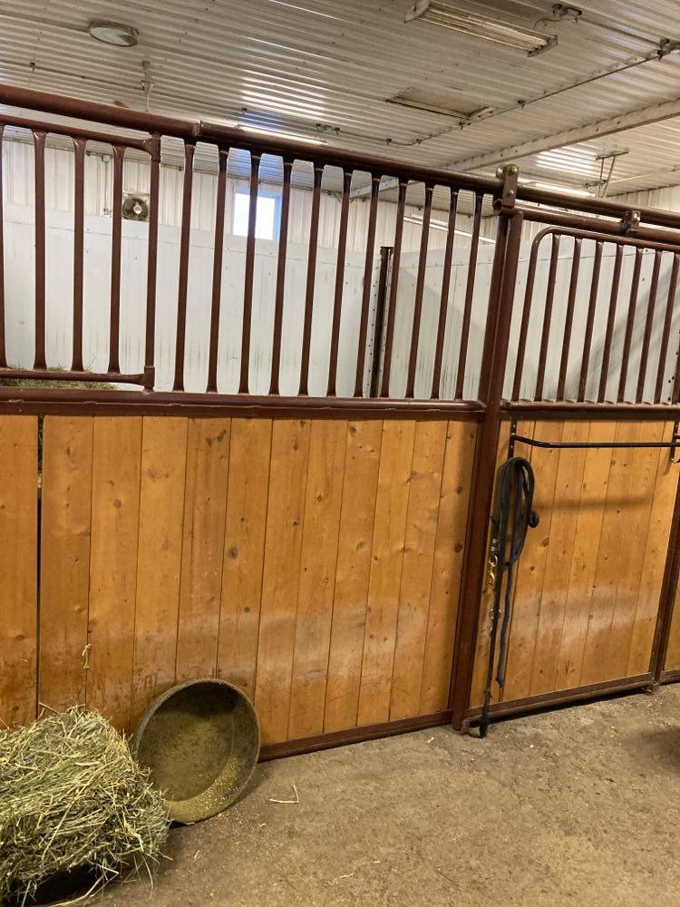 Amethyst Equine Connections | 51341 Range Rd 210, Sherwood Park, AB T8G 1G1, Canada | Phone: (780) 686-3423