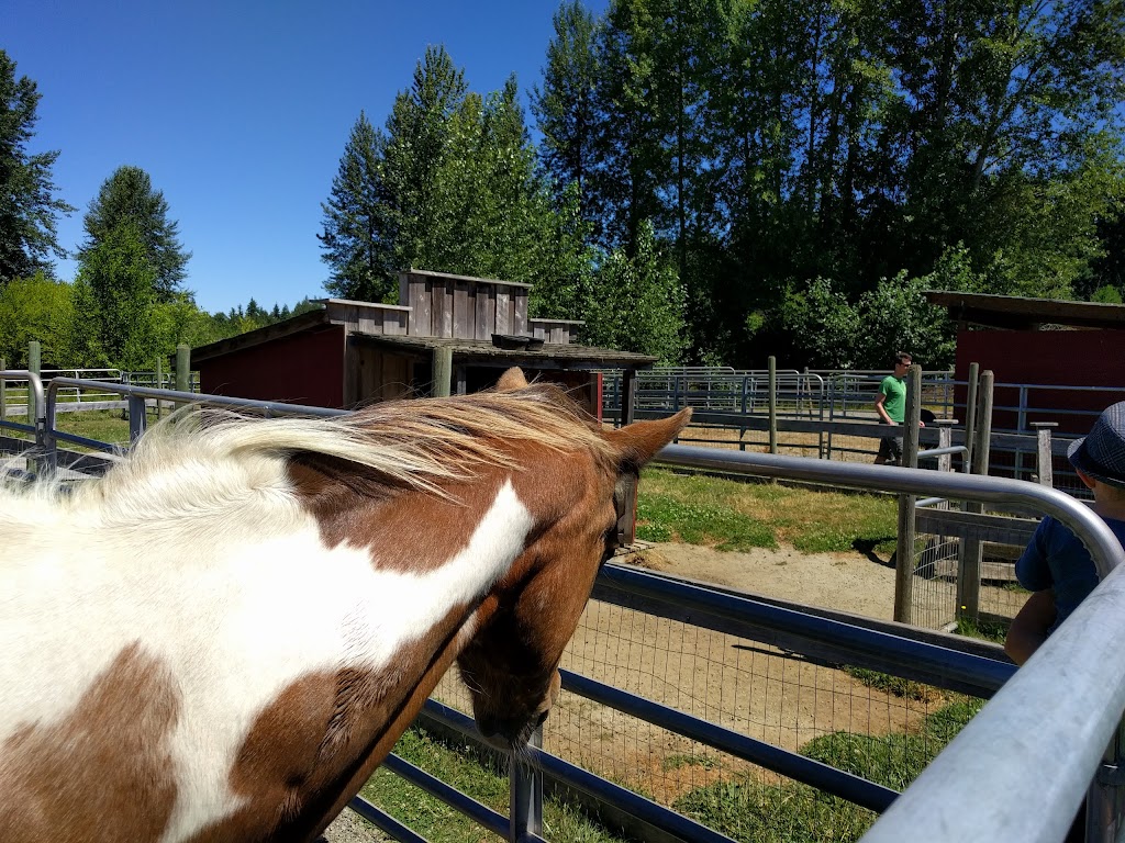 Hamilton Hobby Farm | 2679 Alberni Hwy, Qualicum Beach, BC V9K 1X1, Canada | Phone: (250) 927-1655