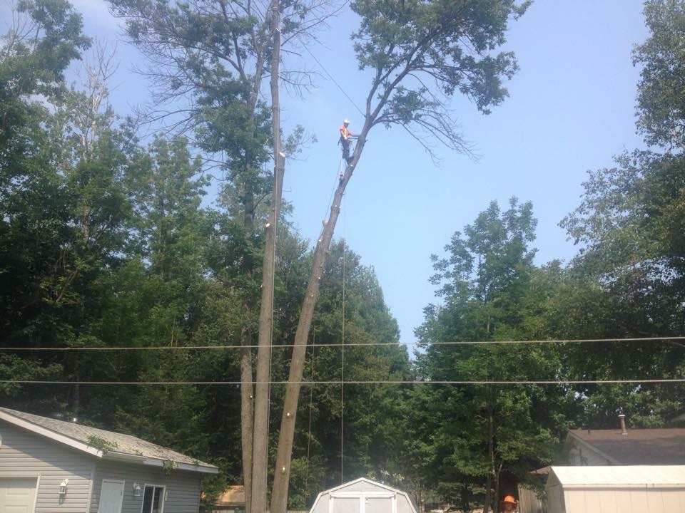 North Simcoe Tree Service | 24 Jury Dr, Penetanguishene, ON L9M 1G1, Canada | Phone: (705) 238-9573