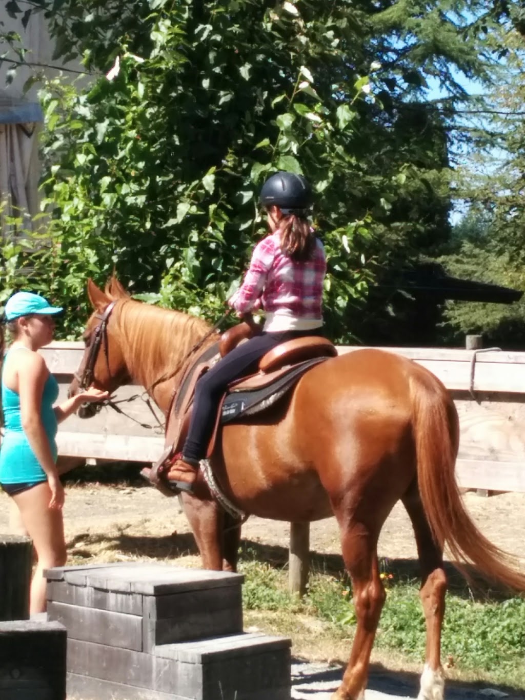 Langley 204 Horseback Riding | 543 204 St, Langley City, BC V2Z 1V5, Canada | Phone: (604) 533-7978