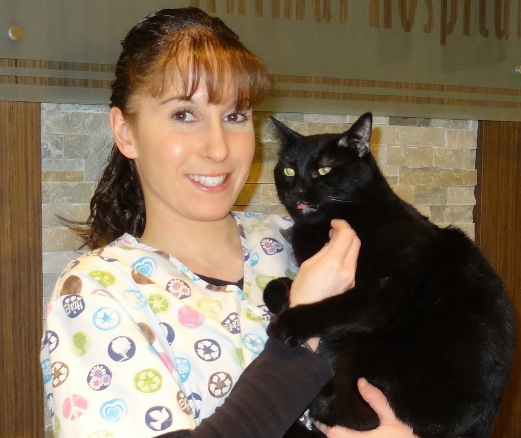 Tower Hill-Bathurst Animal Hospital | 372 Tower Hill Rd #10, Richmond Hill, ON L4E 0A6, Canada | Phone: (905) 737-4455