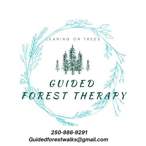 Guided Forest Walks- Leaning on Trees | 301 N Shore Rd, Lake Cowichan, BC V0R 2G0, Canada | Phone: (250) 986-9291