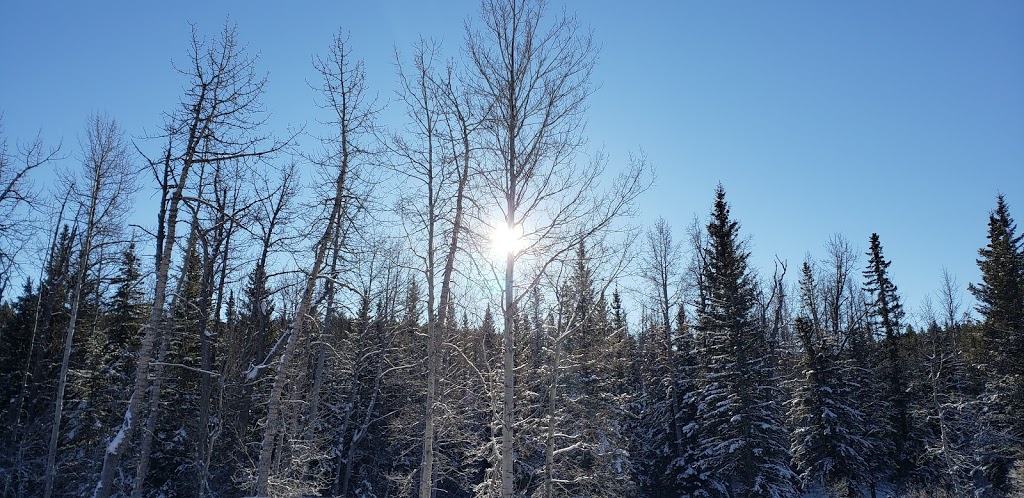 West Bragg Creek Day Use Area | Kananaskis, AB T0L 0K0, Canada