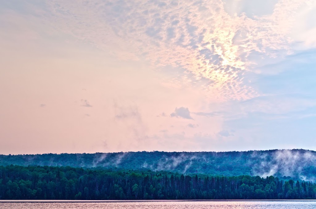 Forest bathing | 1 route Forestière 25 (km 50, La Tuque, QC G9X 3P2, Canada | Phone: (514) 434-4237