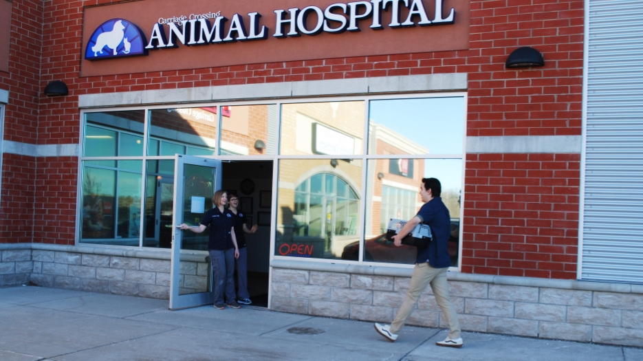 Carriage Crossing Animal Hospital | 105 Oak Park Dr Unit 3, Waterloo, ON N2K 0B3, Canada | Phone: (519) 725-1777