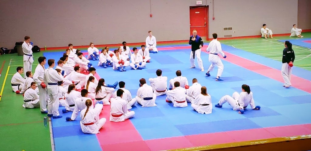 Academy Karate Alexandru Sorin | #275, 3333 Cavendish Blvd, Montreal, QC H4B 2M5, Canada | Phone: (514) 488-4596