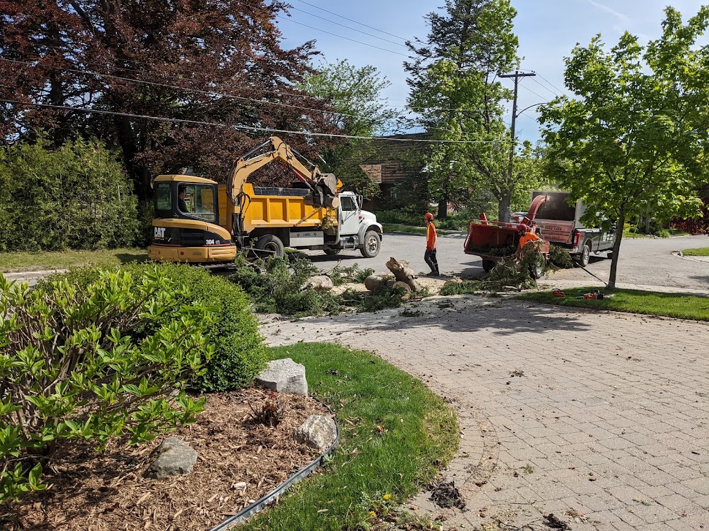 Armour Hill Tree Care | 224 Munroe Ave, Peterborough, ON K9H 1H8, Canada | Phone: (705) 931-2517