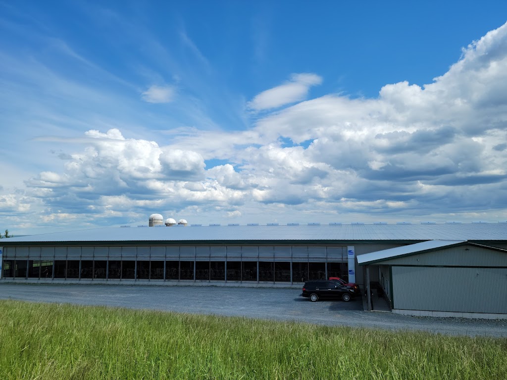 Bokma Farms | 40 Crombe Rd, Shubenacadie, NS B0N 2H0, Canada | Phone: (902) 751-0003