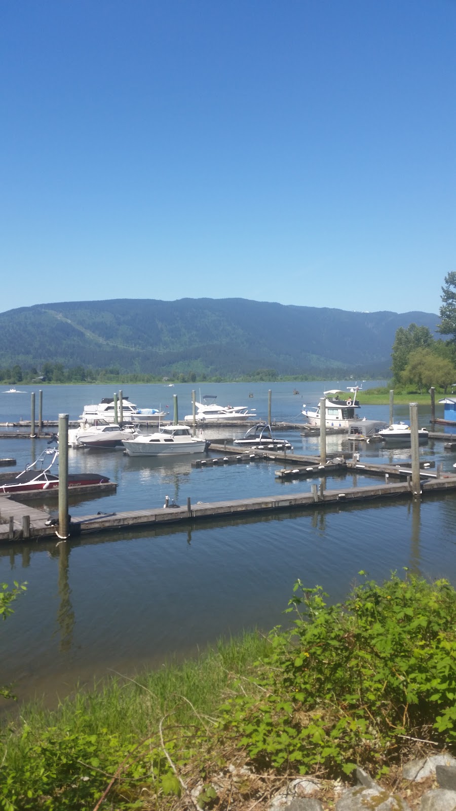 Pitt Meadows Marina | 14179 Reichenbach Rd #1, Pitt Meadows, BC V3Y 1Z1, Canada | Phone: (604) 465-7713