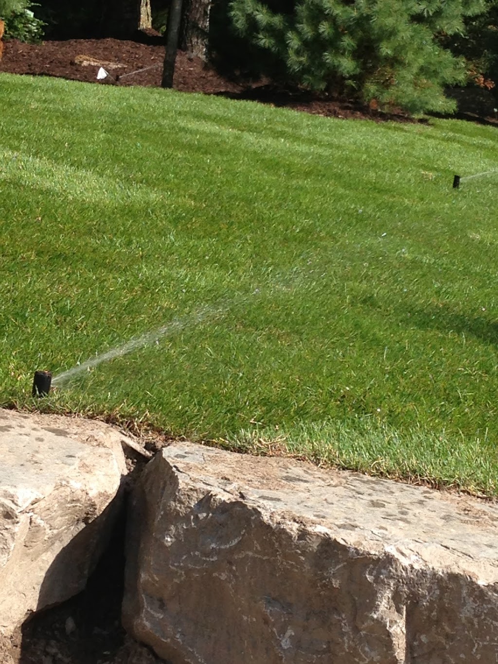 Benchmark Irrigation | Dundas, Toronto, ON M6J 2T6, Canada | Phone: (647) 960-0990