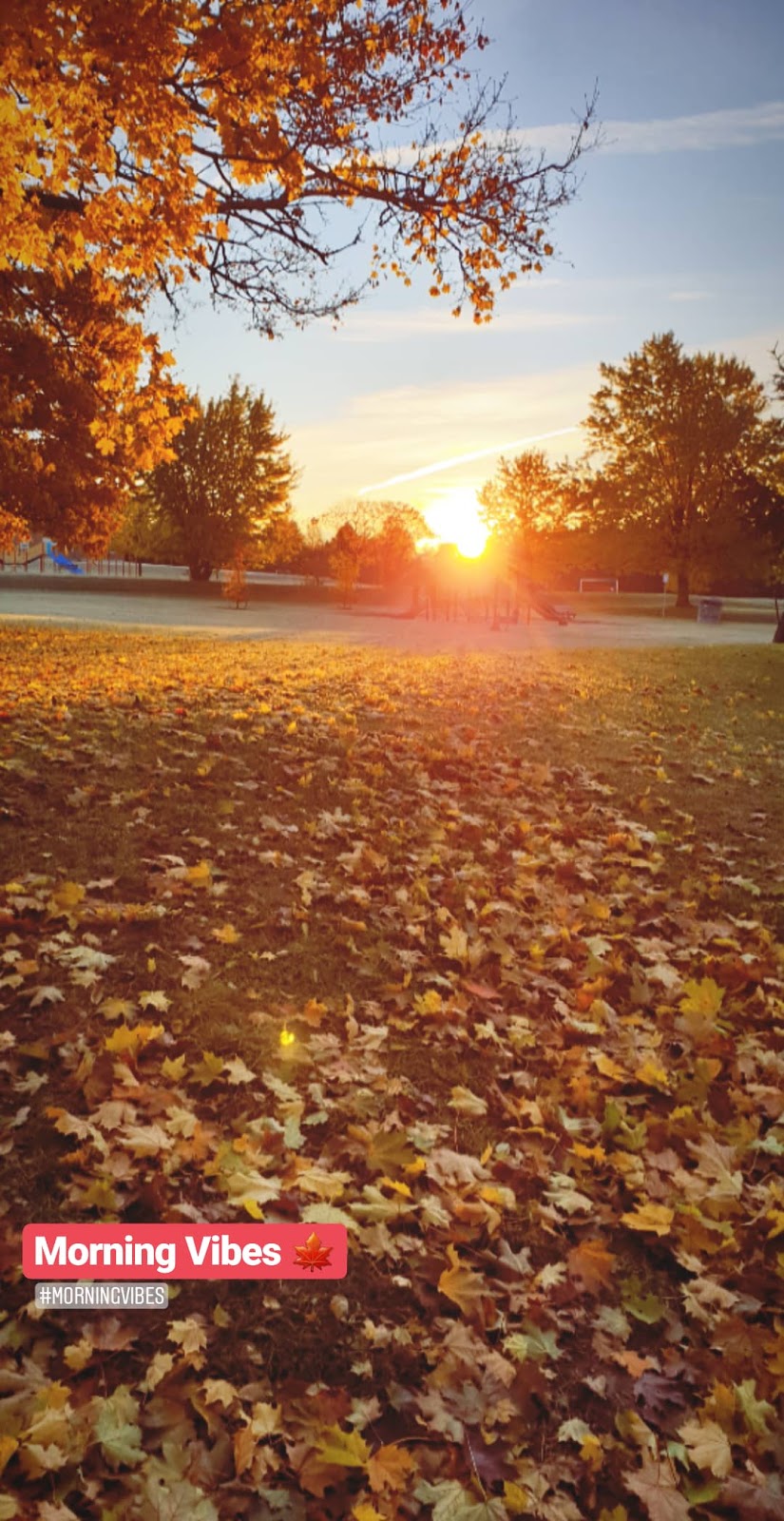 Armstrong Park | Major Buttons Dr, Markham, ON L3P 3G6, Canada